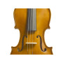 Скрипка Stentor Student I Violin Outfit 3/4 (1400C2) Скрипка Stentor Student I Violin Outfit 3/4 (1400C2)