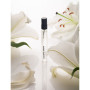 Парфумована вода Sister's Aroma La La Lovely Travel 10 мл (4820227783625) Парфумована вода Sister's Aroma La La Lovely Travel 10 мл (4820227783625)
