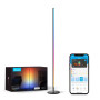 Торшер Govee H6076, 1000Lm, RGBICW, WI-FI/Bluetooth, black (H6076312) Торшер Govee H6076, 1000Lm, RGBICW, WI-FI/Bluetooth, black (H6076312)