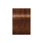 Фарба для волосся Schwarzkopf Professional Igora Royal 7-76 60 мл (4045787405002) Фарба для волосся Schwarzkopf Professional Igora Royal 7-76 60 мл (4045787405002)