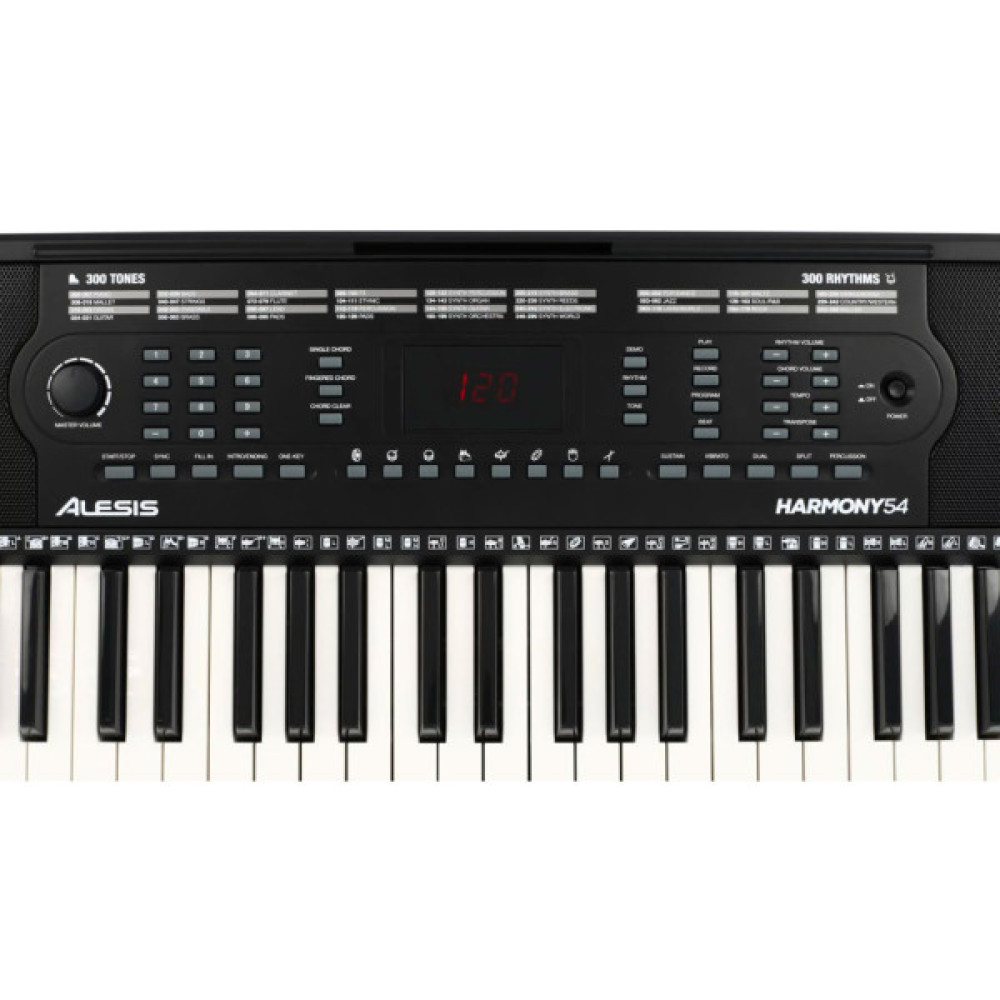 Синтезатор Alesis Harmony 54