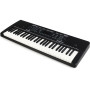 Синтезатор Alesis Harmony 54