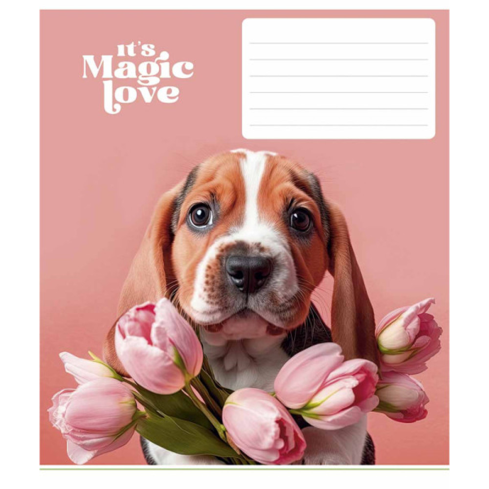 Зошит Школярик It's a magic love 12 аркушів клітинка (012-3300K)