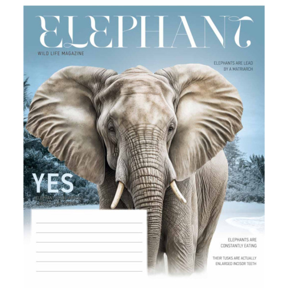 Зошит Школярик Fauna magazine 18 аркушів клітинка (018-3428K)