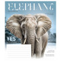 Зошит Школярик Fauna magazine 18 аркушів клітинка (018-3428K) Зошит Школярик Fauna magazine 18 аркушів клітинка (018-3428K)