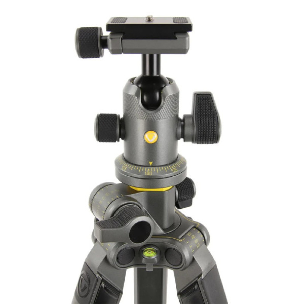 Штатив Vanguard Alta Pro 2+ 263AB 100 (DAS302029)