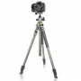 Штатив Vanguard Alta Pro 2+ 263AB 100 (DAS302029) Штатив Vanguard Alta Pro 2+ 263AB 100 (DAS302029)