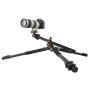 Штатив Vanguard Alta Pro 263AB 100 (DAS301277) Штатив Vanguard Alta Pro 263AB 100 (DAS301277)