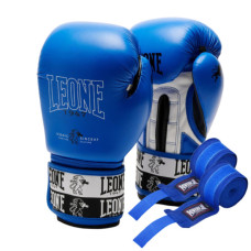 Боксерські рукавички Leone GN208 Iconic Blue 16 унцій (GN208_Blue_16oz)