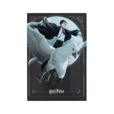 Блокнот Kite Harry Potter A5, 50 аркушів, клітинка (HP25-194-2)