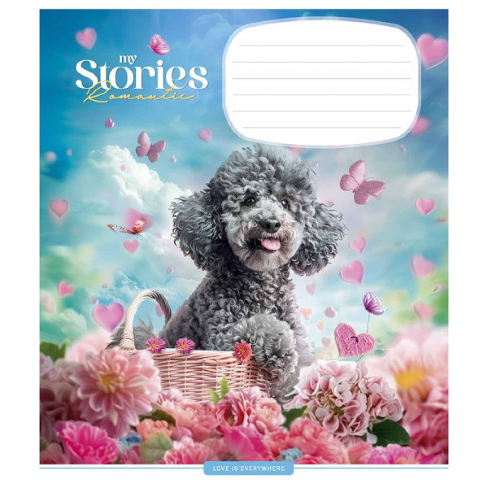 Зошит Школярик Romantic stories 12 аркушів клітинка (012-3464K)