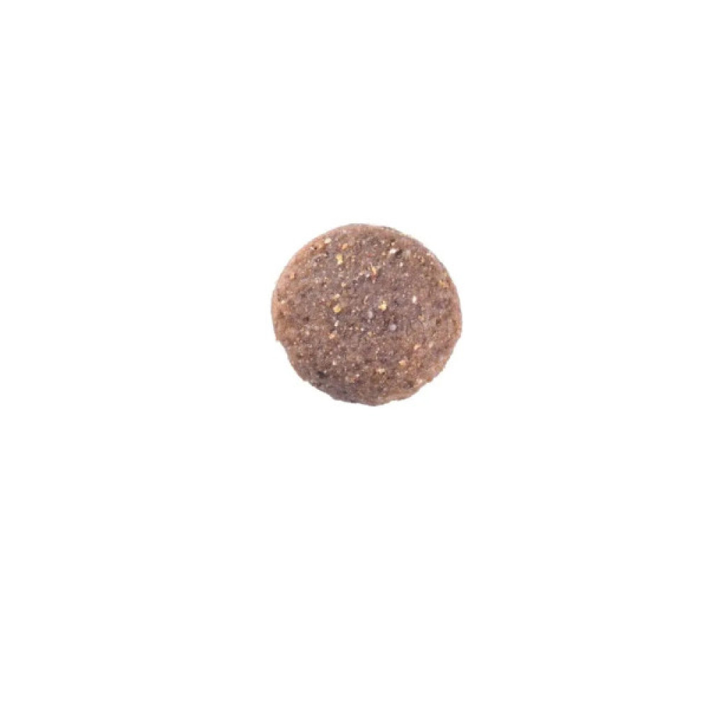 Сухий корм для собак Brit Care Dog Grain-free Adult Large Breed беззерновий з лососем 12 кг (8595602558896)