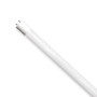 Лампочка Eurolamp LED-T8-9W/4000(скло) Лампочка Eurolamp LED-T8-9W/4000(скло)