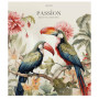 Зошит Школярик Amazing birds 96 аркушів клітинка (096-3402K) Зошит Школярик Amazing birds 96 аркушів клітинка (096-3402K)