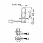 Автолампа Philips галогенова 55W (12336 LLECO C1) Автолампа Philips галогенова 55W (12336 LLECO C1)