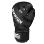 Боксерські рукавички Phantom APEX Velcro Black 12 унцій (PHBG2368-12)
