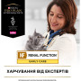 Сухий корм для кішок Purina Pro Plan Veterinary Diets NF Renal Function Early Care При хворобі нирок на ранніх стадіях 350 г (7613287882219) Сухий корм для кішок Purina Pro Plan Veterinary Diets NF Renal Function Early Care При хворобі нирок на ранніх стадіях 350 г (7613287882219)