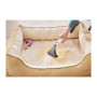 Пилосос Tineco iCarpet One Spot (SC050300DE) Пилосос Tineco iCarpet One Spot (SC050300DE)
