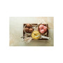 Морозивниця Cuisinart Cool Scoops (ICE21E) Морозивниця Cuisinart Cool Scoops (ICE21E)