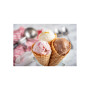 Морозивниця Cuisinart Cool Scoops (ICE21E) Морозивниця Cuisinart Cool Scoops (ICE21E)