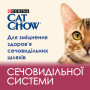 Сухий корм для кішок Purina Cat Chow Urinary Tract Health з куркою 1.5 кг (5997204514387)