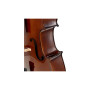 Віолончель Stentor Student I Cello Outfit 3/4 (1102C2)