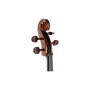 Віолончель Stentor Student I Cello Outfit 3/4 (1102C2)