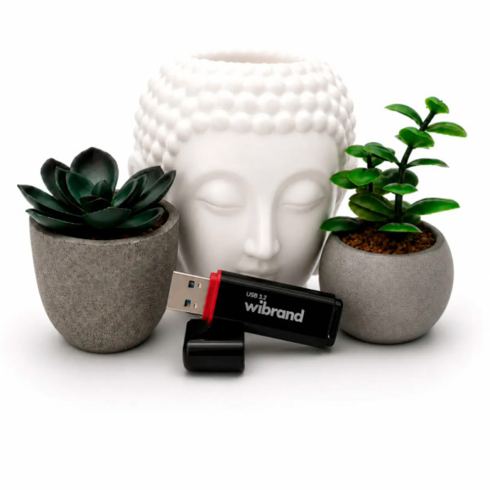 USB флеш накопичувач Wibrand 128GB Scarab Black USB 3.2 (WI3.2/SC128P11B)