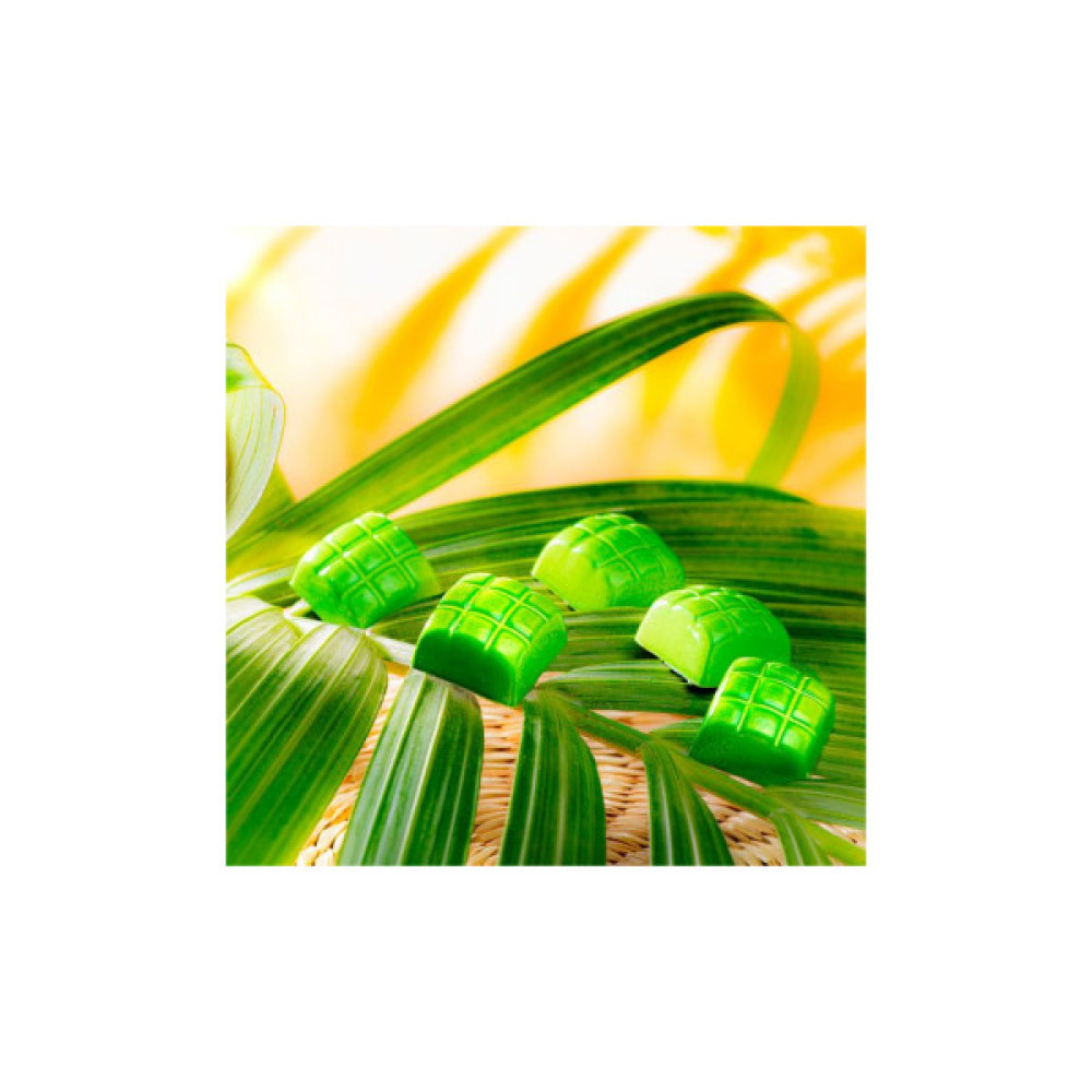 Форма для шоколаду Chocolate World серія "New" Кетупат 8,8 г (2452 CW)