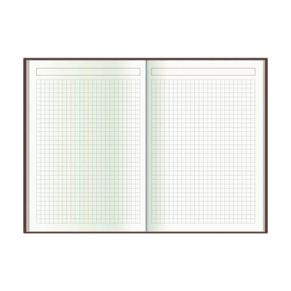 Тижневик Economix датований 2024 Spectrum, синій А5 (E21846)