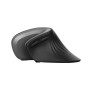 Мишка Trust Verro Ergonomic Wireless Black (23507) Мишка Trust Verro Ergonomic Wireless Black (23507)
