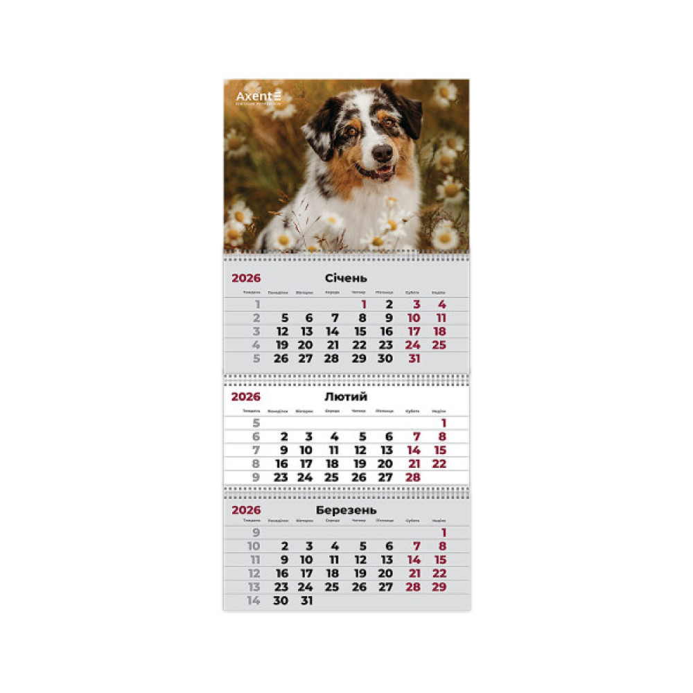 Календар Axent настінний квартальний на 2026 р. (3 пружини) Dogs 1 (8803-26-16-A)
