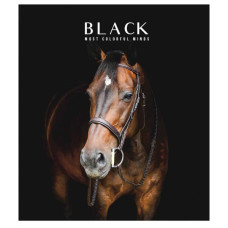 Зошит Школярик Black classic 96 аркушів лінія (096-3388L)