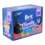 Вологий корм для кішок Brit Premium Cat сімейна тарілка асорті 4 смаки 100 г х 12 шт (8595602506255) Вологий корм для кішок Brit Premium Cat сімейна тарілка асорті 4 смаки 100 г х 12 шт (8595602506255)
