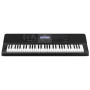 Синтезатор Casio CT-X800 (222053) Синтезатор Casio CT-X800 (222053)