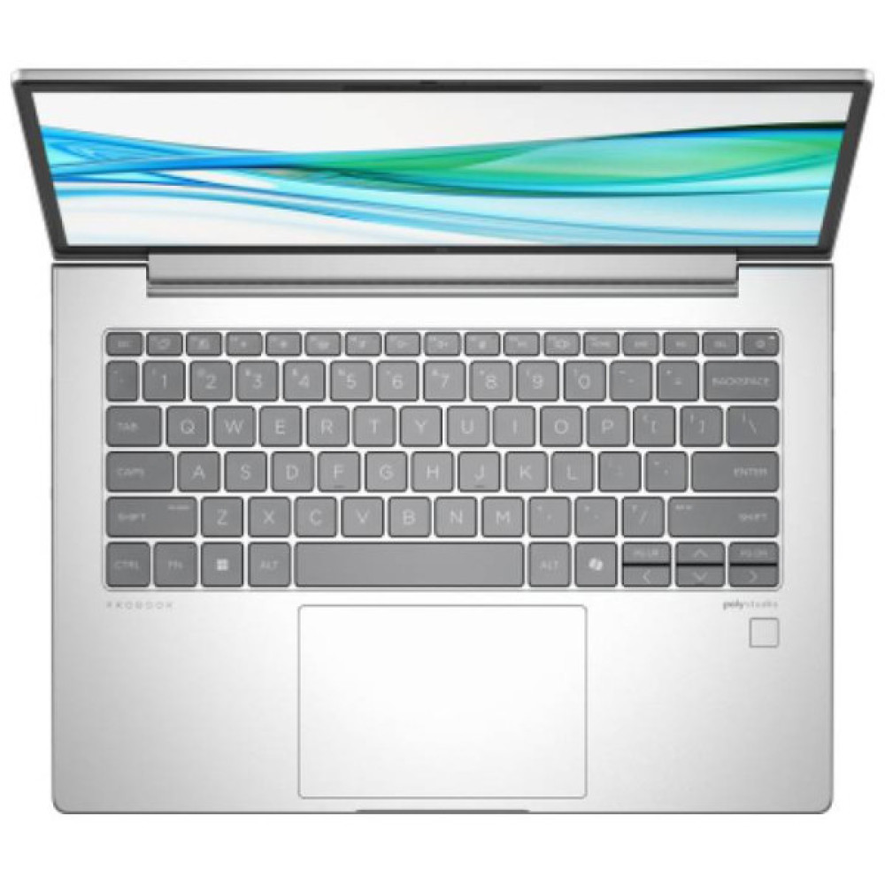 Ноутбук HP ProBook 445 G11 (8Z9P8AV_V1)