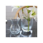 Ваза Trend Glass Lyra 20 см (35503)