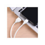 Дата кабель USB 2.0 AM to Lightning 1.0m 2.4A PVC BX19 white BOROFONE (6931474701763)