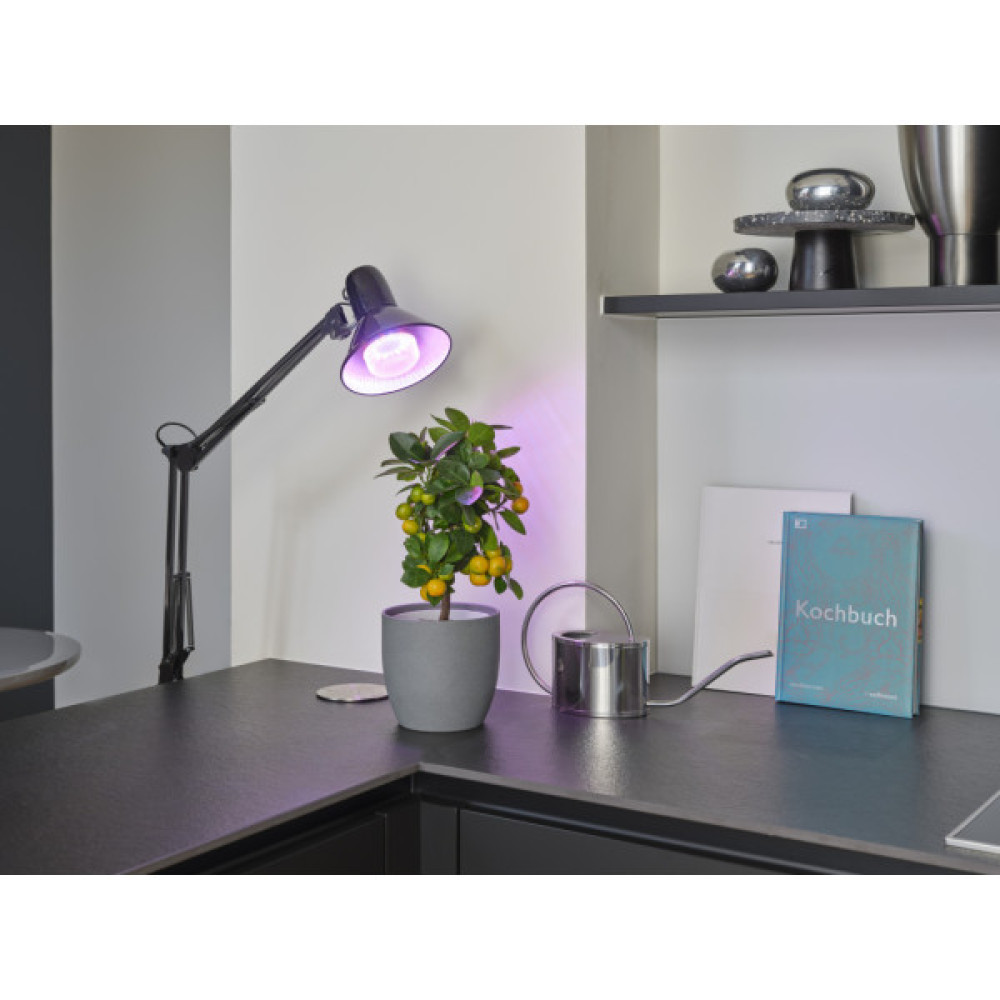 Лампочка Osram LED T60 GROW 10W CL 230V FR E27 (4058075845787)