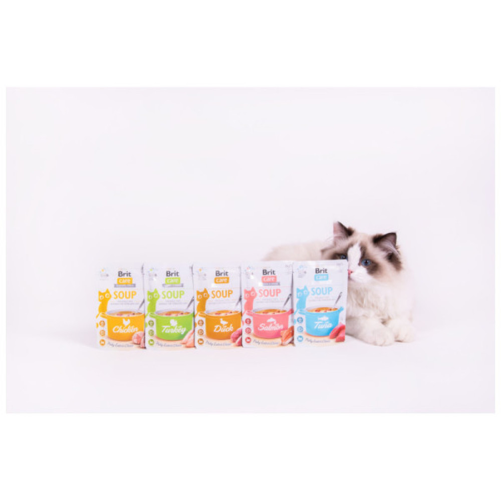 Вологий корм для кішок Brit Care Soup with Chicken з куркою 75 г (8595602569175)