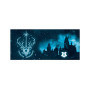 Чашка ABYstyle Harry Potter Expecto Patronum (ABYMUG726) Чашка ABYstyle Harry Potter Expecto Patronum (ABYMUG726)