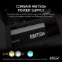 Блок живлення Corsair 750W RM750e (CP-9020295-EU) Блок живлення Corsair 750W RM750e (CP-9020295-EU)