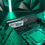 Модуль пам'яті для комп'ютера DDR5 16GB (2x8GB) 5600 MHz Signature Line Patriot (PSD516G5600K) Модуль пам'яті для комп'ютера DDR5 16GB (2x8GB) 5600 MHz Signature Line Patriot (PSD516G5600K)
