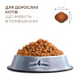 Сухий корм для кішок Club 4 Paws Premium що мешкають у приміщенні "4в1" 2 кг (4820215368780) Сухий корм для кішок Club 4 Paws Premium що мешкають у приміщенні "4в1" 2 кг (4820215368780)