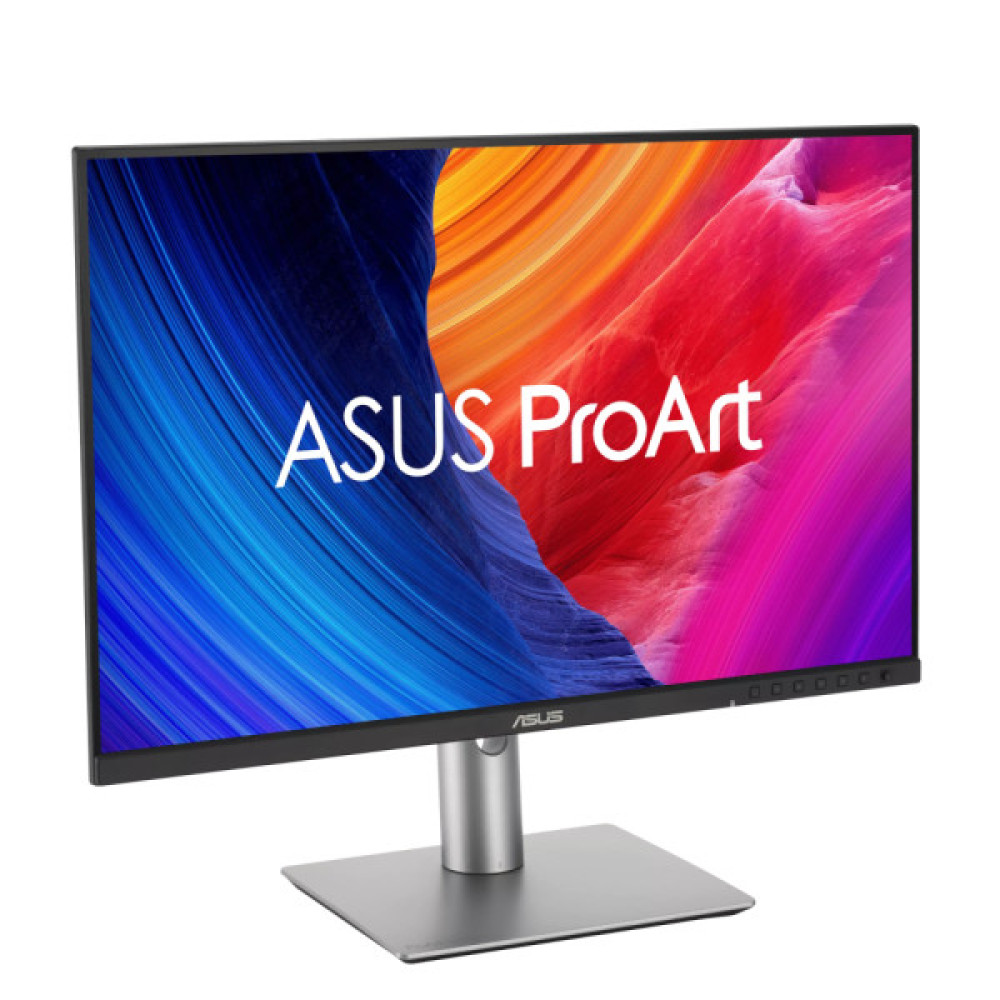 ASUS PA248QFV (90LM05K1-B01K71)