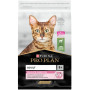 Сухий корм для кішок Purina Pro Plan Delicate Lamb зі смаком ягняти 10 кг (7613035846944) Сухий корм для кішок Purina Pro Plan Delicate Lamb зі смаком ягняти 10 кг (7613035846944)