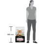 Сухий корм для кішок Purina Pro Plan Delicate Lamb зі смаком ягняти 10 кг (7613035846944) Сухий корм для кішок Purina Pro Plan Delicate Lamb зі смаком ягняти 10 кг (7613035846944)