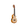 Укулеле Ibanez AUC10E OPN (234983)