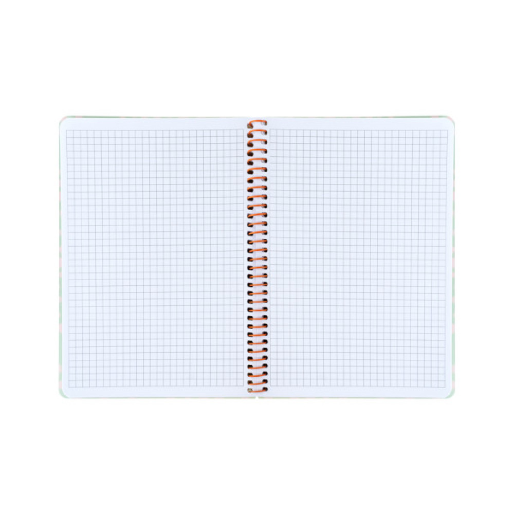 Блокнот Axent на спіралі А5 80 аркушів, клітинка, пластикова обкладинка, салатовий (8462-1-A)