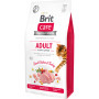 Сухий корм для кішок Brit Care Cat GF Adult Activity Support 7 кг (8595602540815) Сухий корм для кішок Brit Care Cat GF Adult Activity Support 7 кг (8595602540815)